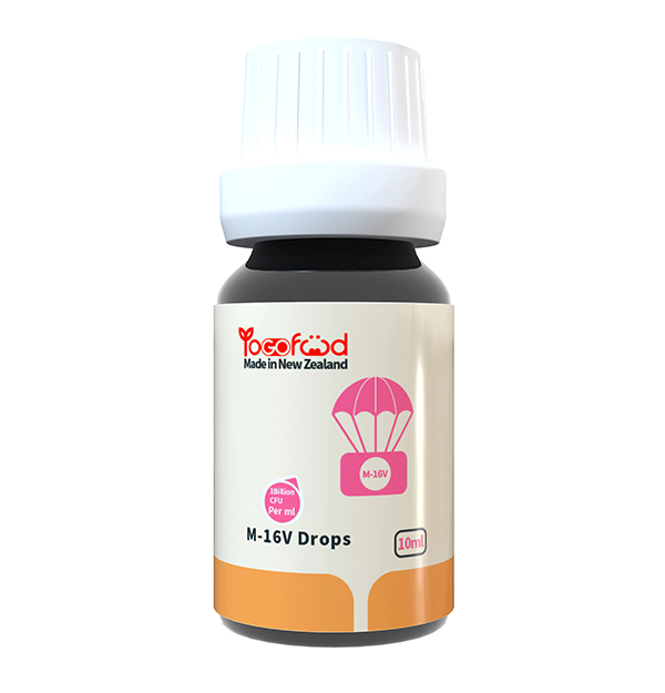  YoGofoodM16VIB΄